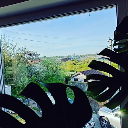 Panoramic View * Kaunas