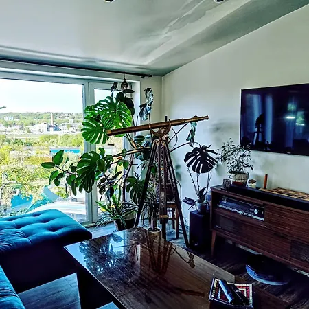 Panoramic View *